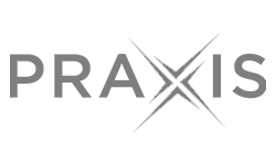 Datasite's investment banking data room client Praxis's logo